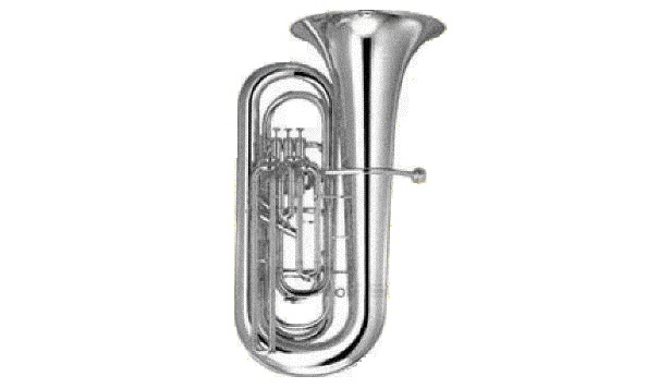 Bass